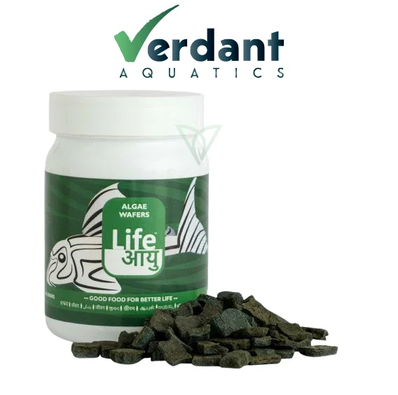 Life Aayu Algae Wafer Fish Food 45g